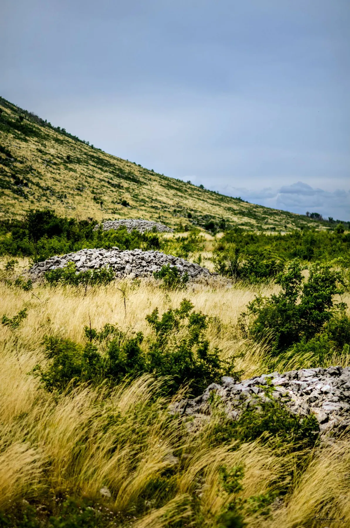Tumuli u Krućevići Brdu