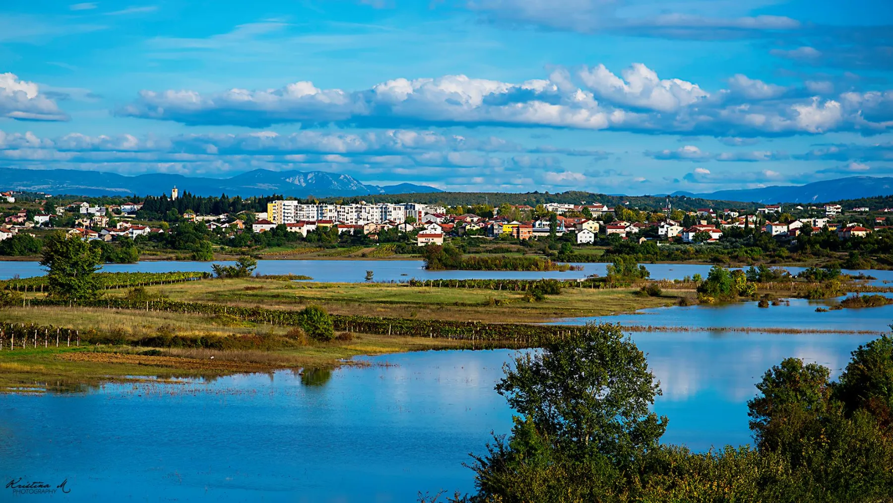 Čitlučko polje